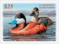 Duck stamp 2015.jpg