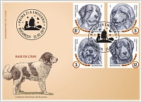 2019 Romania Shepherd Dogs OFDC.jpg