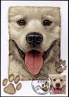 2019 Swiss Animal Friends- dog (head) MC FD date.jpg