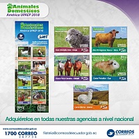 2018 Ecudor Domestic Animals adv..jpg