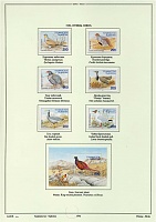 taj-birds-96.jpg