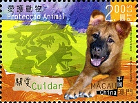 macao-2014-4-28-dogs.jpg