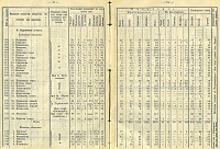 1905 Ладвинское общество.jpg