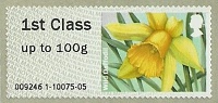 2014-02 Spring-Blooms 6x Faststamps Redditch Wild Daffodil.jpg