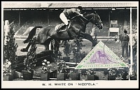 Ланди_1957_Конный спорт_КМ_1_Wilfred White_Nizefela.jpg