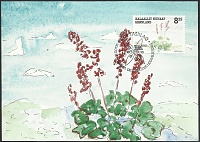 Greenland_2005_Edible Plants_MC_3_av.jpg