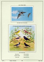 turk-birds-02-2.jpg