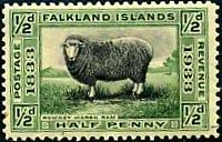 falkland-1933.jpg