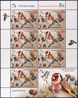 Belarus_2018_Goldfinch_MS_1.jpg