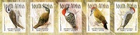 Woodpeckers-of-South-Africa.jpg