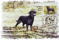 2016 Transnistria  Black Labrador MC (official).jpg