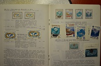 Нажмите на изображение для увеличения
Название: DSC_4445.jpg
Просмотров: 9
Размер:	173.5 Кб
ID:	1222359