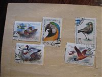 Нажмите на изображение для увеличения
Название: птицы.jpg
Просмотров: 67
Размер:	97.0 Кб
ID:	129471