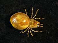 Нажмите на изображение для увеличения
Название: P1050337.JPG
Просмотров: 6
Размер:	82.6 Кб
ID:	1337889