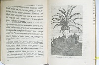 Нажмите на изображение для увеличения
Название: SNV81448.JPG
Просмотров: 3
Размер:	129.9 Кб
ID:	1647731