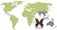 Нажмите на изображение для увеличения
Название: Papilio rumanzovia карта.jpg
Просмотров: 2
Размер:	70.9 Кб
ID:	1655907