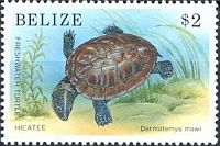 Нажмите на изображение для увеличения
Название: 2017-03-07_185434.jpg
Просмотров: 1
Размер:	26.6 Кб
ID:	1771586