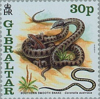 Нажмите на изображение для увеличения
Название: 05.jpg
Просмотров: 0
Размер:	41.5 Кб
ID:	1778626