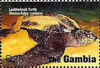 Нажмите на изображение для увеличения
Название: 01.jpg
Просмотров: 1
Размер:	27.1 Кб
ID:	1788405