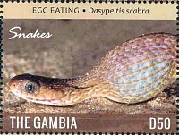 Нажмите на изображение для увеличения
Название: 06.jpg
Просмотров: 0
Размер:	28.4 Кб
ID:	1788606