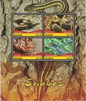 Нажмите на изображение для увеличения
Название: G2015-2-змеи-мл.jpg
Просмотров: 0
Размер:	200.3 Кб
ID:	1790824