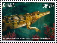 Нажмите на изображение для увеличения
Название: 03.jpg
Просмотров: 0
Размер:	33.8 Кб
ID:	1790996