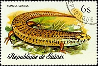 Нажмите на изображение для увеличения
Название: 03.jpg
Просмотров: 0
Размер:	44.9 Кб
ID:	1791826