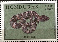 Нажмите на изображение для увеличения
Название: 02.jpg
Просмотров: 0
Размер:	25.8 Кб
ID:	1799489