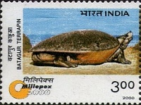 Нажмите на изображение для увеличения
Название: 01.jpg
Просмотров: 1
Размер:	30.5 Кб
ID:	1813613