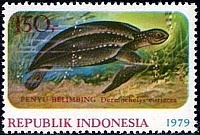 Нажмите на изображение для увеличения
Название: 01.jpg
Просмотров: 1
Размер:	32.7 Кб
ID:	1814045