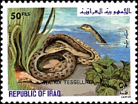 Нажмите на изображение для увеличения
Название: 1164.JPG
Просмотров: 0
Размер:	30.0 Кб
ID:	1819261