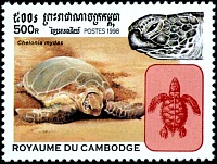 Нажмите на изображение для увеличения
Название: 02.jpg
Просмотров: 0
Размер:	104.6 Кб
ID:	1832293