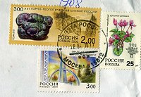 Нажмите на изображение для увеличения
Название: New-1.jpg
Просмотров: 59
Размер:	202.6 Кб
ID:	269479