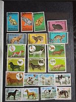 Нажмите на изображение для увеличения
Название: ba20a224d5ef.jpg
Просмотров: 4
Размер:	99.0 Кб
ID:	627268