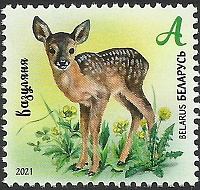 Belarus_2021_Baby Wild Animals_1.jpg