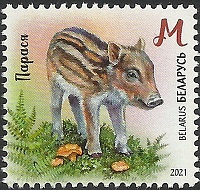 Belarus_2021_Baby Wild Animals_3.jpg