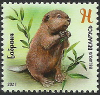 Belarus_2021_Baby Wild Animals_4.jpg