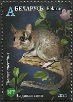 Belarus_2021_Rodents_1.jpg