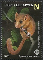 Belarus_2021_Rodents_2.jpg