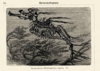 Нажмите на изображение для увеличения
Название: Тряпичник.JPG
Просмотров: 41
Размер:	104.2 Кб
ID:	269066