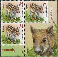 Belarus_2021_Baby Wild Animals_Bl_3.jpg