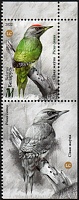 Belarus_2022_Woodpeckers_5b.jpg