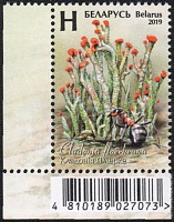 Belarus_2019_Lichens_3.jpg