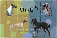 tanzania-2013-dogs domestic (11).jpg