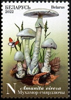 Belarus_2022_Mushrooms_3.jpg