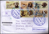 Abhazia dogs on mailed cover in 2020 for forum.jpg