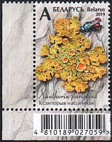 Belarus_2019_Lichens_1.jpg