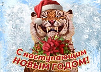 изображение_2021-12-31_183033.jpg