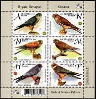 Belarus_2021_Falcons_MS_7.jpg