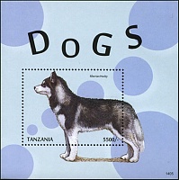 tanzania-2013-dogs domestic (1).jpg